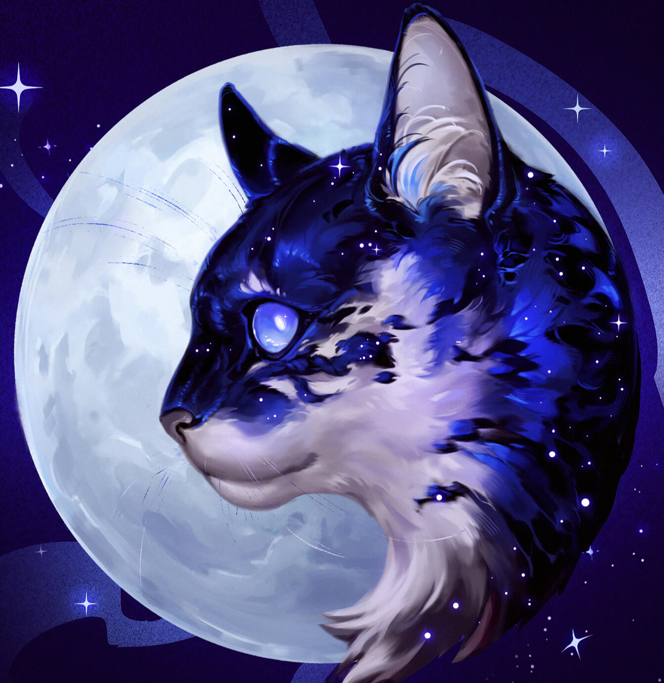Moon Cat